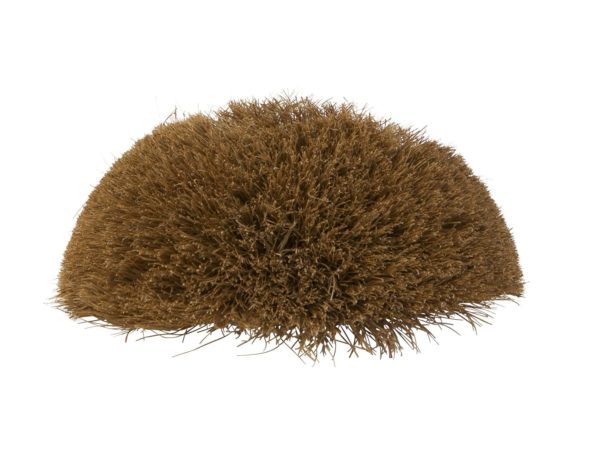 Raagbol kokos
