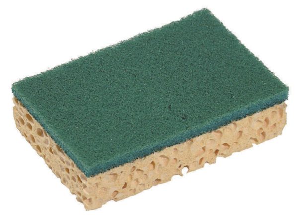 Sponrex schuurspons